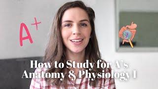 How to Study for Anatomy & Physiology I  Plus FREE Flashcard Download 