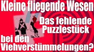 Kleine fliegende Wesen  Das fehlende Puzzlestück bei den Viehverstümmelungen?