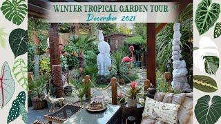 What My Tropical Garden Looks Like During Winter ️ Winter Hardy Plants 