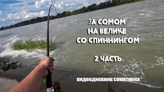 ЗА СОМОМ на ВЕЛИКЕ  Со спиннингом за сомом в наводнение 2 часть  видеодневник сомятника