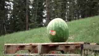 12 Gauge Slug VS Watermelon 2