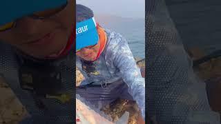 Another record of RAREST caught in Muscat Massive African Pompano #fishing #fish #viralvideos #