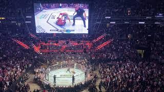 Sugar Sean OMalley UFC 292 Round 2 Crowd Reaction #shorts
