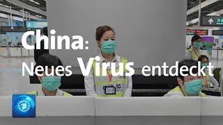Lungenkrankheit in China Neuartiges Corona-Virus entdeckt