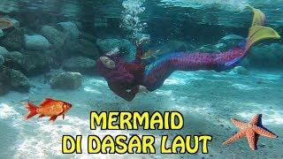 WAH ADA MERMAID DI DASAR LAUT. BERENANG SAMA IKAN ASLI 