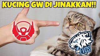 ADUHHH KUCING GW BERHASIL DI JINAKKINNNN EVOS VS BTR MATCH 3