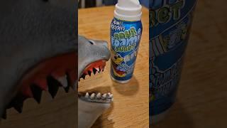 Hungry Hand eats Sour Spray Foam Candy with Toto #hungryhand #asmreating