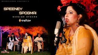 Speeney Spogmai  Shaqiba Afghan  Mashaloona  Pashto New Song 2024