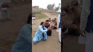 pakistani jhumar dhol been with barat #shortvideo #dance #jhumar