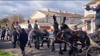 Driving 8 Friesian Stallions  24 Horse Procession in Dublin Ireland  #horse #stallion #driving