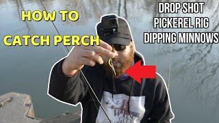 How To CATCH Yellow Perch- Tips and Techniques
