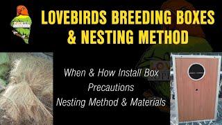 Lovebirds Breeding Boxes & Nesting Method  Size When and How to Install  #lovebirdsbreedingbox