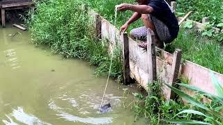 OTTER KOK TAKUT BERENANG