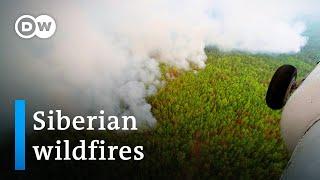 Massive wildfires in Siberia fueled by record heat  DW News