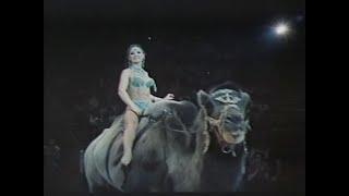 Bellei Беллей acrobats on camels  Akrobaten auf Kamelen  акробаты на верблюдах 1975