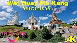 4K Wat Huay Pla Kang วัดห้วยปลากั้ง Chiang Rai Thailand
