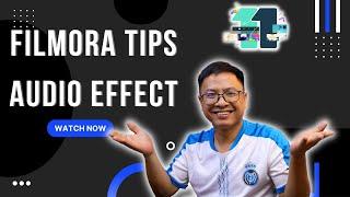 Filmora 11 Editing Tips - Adding Audio Effect