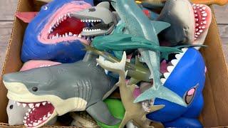 Shark Toys Unboxing Sea Animal Adventure for Kids  Educational Fun