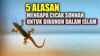 5 ALASAN MENGAPA CICAK SUNNAH DIBUNUH DALAM ISLAM