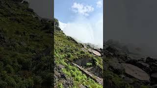 American Falls  Nature #Shorts  Niagara Falls State Park  Waterfall Wednesday  View 6