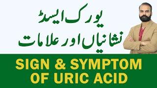 What are the Sign & symptom of Uric Acid in UrduHindi