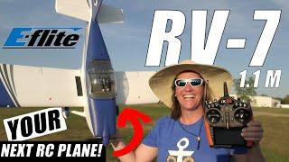 NEW E-flite RV-7 1.1m with SAFE & AS3X - YOUR NEXT RC PLANE?