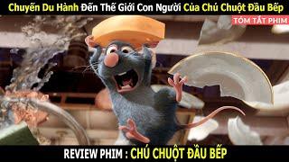Review Phim Hành trình Trở Thành Vua Đầu Bếp Của Chú Chuột Nhà Quê  Linh San Review
