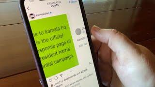 Gen Z is coconuts for Kamala Experts explain how social media could impact 2024 election