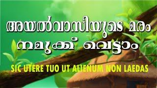 അയൽ വസ്തുവിലെ മരങ്ങൾ കൊണ്ടുള്ള ശല്യം എങ്ങനെ നേരിടാം  അപകടകരമായ മരങ്ങൾ എങ്ങനെ നീക്കം ചെയ്യാം.