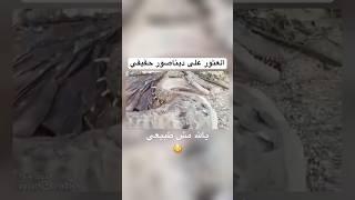 العثور على ديناصور حقيقي  حقيقة هذا الفيديو المنتشر