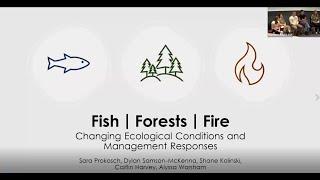Fish  Forests  Fire Changing Ecological Conditions and Management Responses