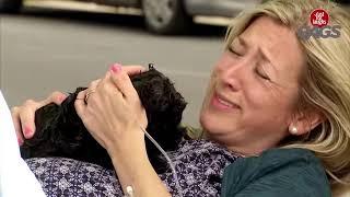 Woman Giving Birth To Dog   Just For Laughs