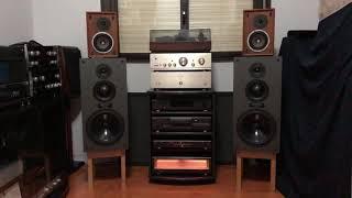 Technics e Royd Audio