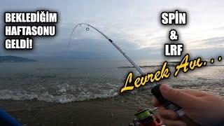 Sabah Suyu Levrek Avı  2 kaçan 2 Yakalananla Haftayı noktaladım  Spin ve LRF  #Levrek #Seabass 