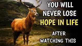 YOU WILL NEVER LOSE HOPE IN YOUR LIFE  MOTIVATIONAL STORY OF A DEER  #hope