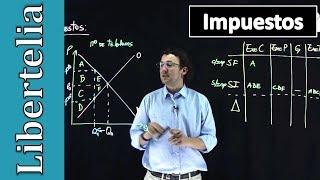  Impuestos análisis gráfico y de excedentes  Microeconomía  Libertelia