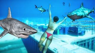 GTA 5 Water Ragdolls  Bikini Girl vs Shark #1 Funny Moments