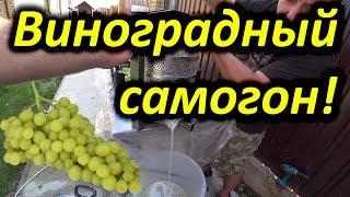 Виноградный самогон