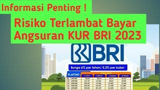 Informasi Penting  Ini Risiko Terlambat Bayar Angsuran KUR BRI 2023