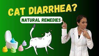 Top Natural Remedies for Cat Diarrhea  Holistic Veterinarian Advice - Dr. Katie Woodley