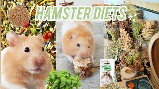 Hamster Diets  What to Feed your Hamster  How much and how often to Feed your Pet 