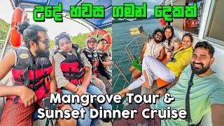 වෙනස්ම ගමන් දෙකක් එකම දවසේ  Mangrove Tour & Sunset Dinner Cruise  - VLOG 320