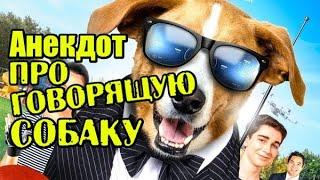 Анекдот про Ирак и Говорящую Собаку. Новейший анекдот