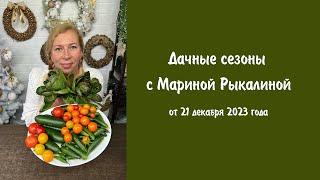 Дачные сезоны с Мариной Рыкалиной от 21 декабря 2023 года