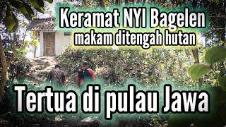 Makam keramat ditengah hutan tertua dipulau jawa  keramat NYI Bagelen  penelusuran WMtv creator