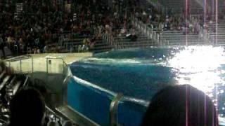 The Shamu Show Believe Part 1