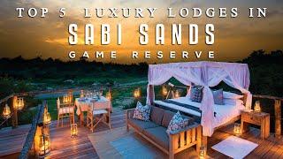 Top 5 Luxury Lodges in Sabi Sands Game Reserve  South Africa Luxury Safari