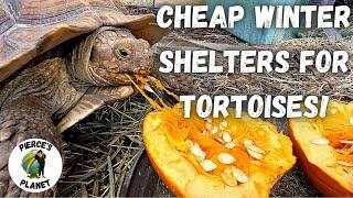 How To Set Up Cheap Winter Shelters For Your Tortoises Quick & Easy Set Up