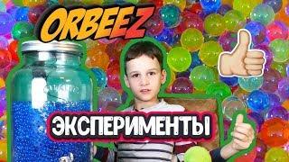 То что вы хотели но боялись сделать с орбиз  орбис Эксперимент с orbeez.  #орбиз #orbeez #diy