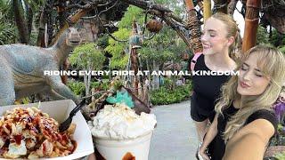 We Rode Every Ride at Animal Kingdom  Saying Goodbye to Dinosaur  Kali River Rapids